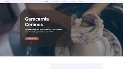 Internetowe strony www